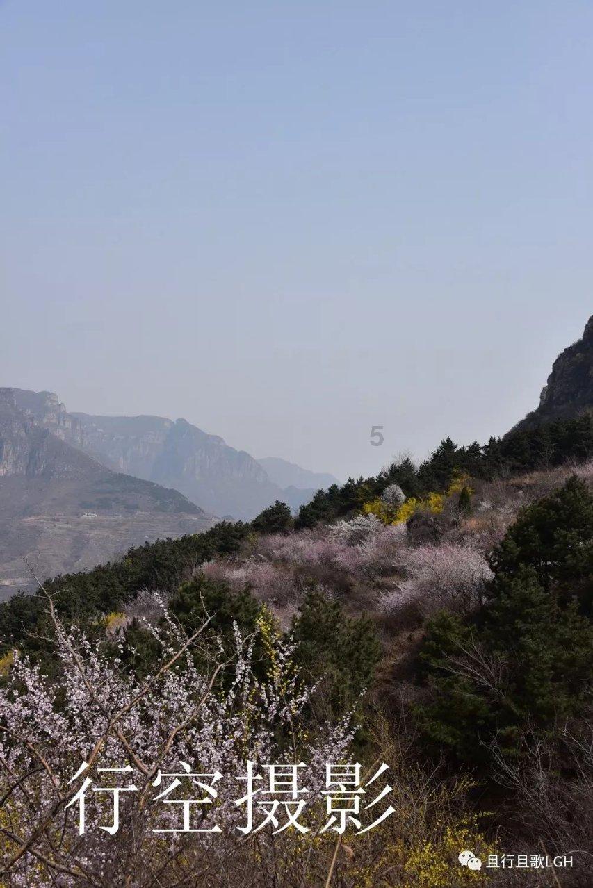 春运首日，乘警与旅客深情合唱《如愿》，现场氛围直接拉满