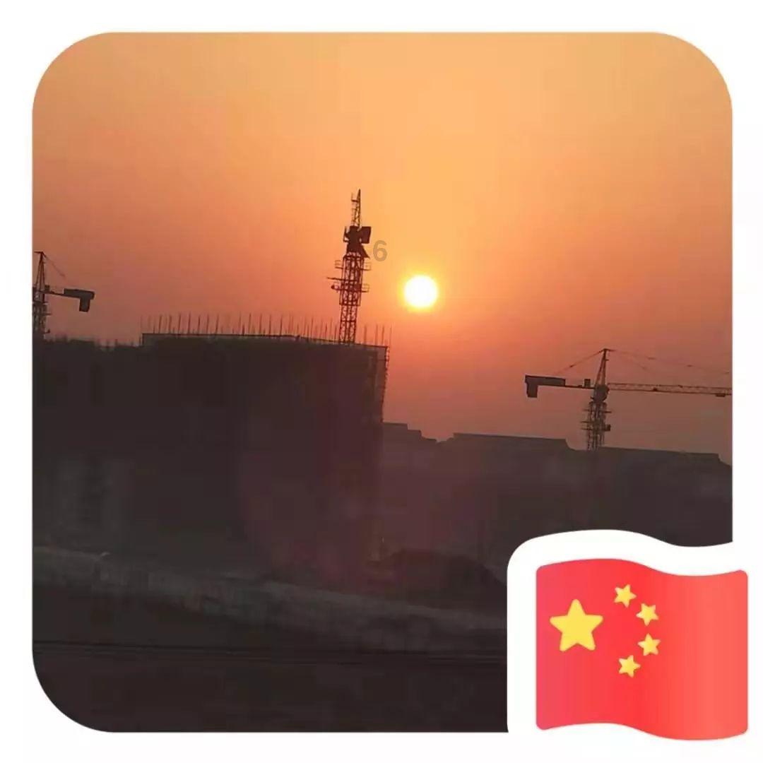 破碎的动物图形2